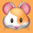 WWW,803se·COM网站APP
