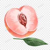 公主直播APP应用