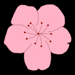 高清🈚码免费17cAPP应用